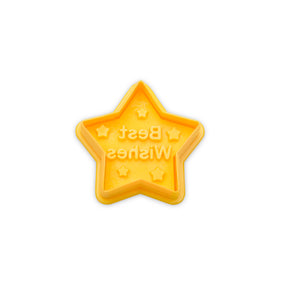 Präge-Ausstecher Stern "Best Wishes" mit Auswerfer 4,5cm